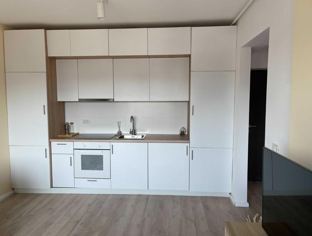 Oasis Luxury Apartment Near Presidential Palace Бухарест Экстерьер фото
